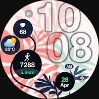 ML2U 244 Watch Face