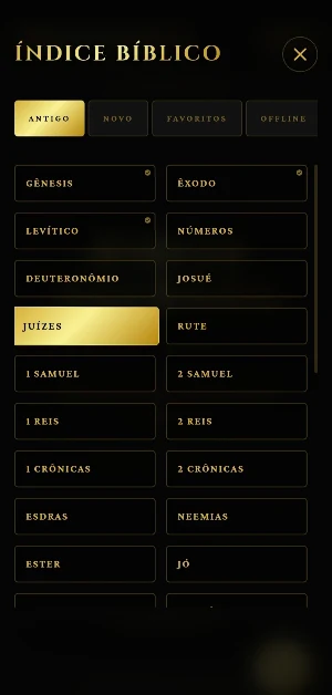 Bíblia Sagrada Offline Screenshot 1
