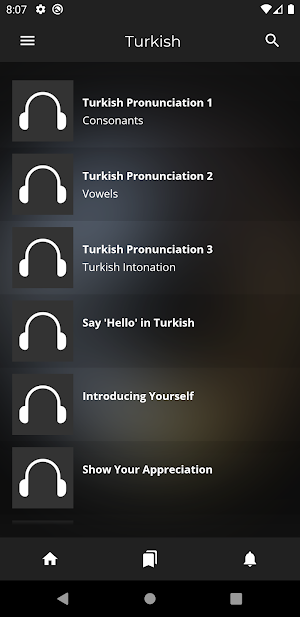 Fast - Speak Turkish Language Screenshot 0