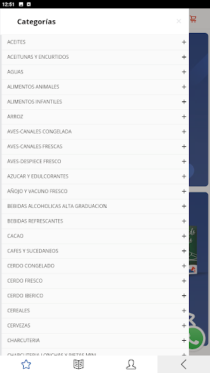 Tienda SolaRicca Screenshot 1