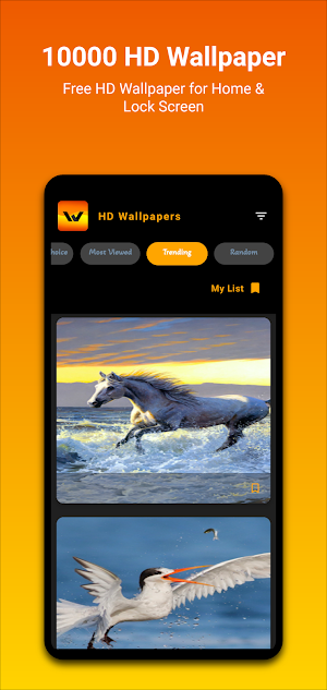 10000 HD Wallpapers Screenshot 3