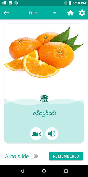 Burmese Chinese Translator Screenshot 3