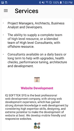IQSoftTekSys Screenshot 2