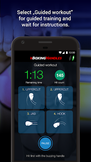 eBoxing Screenshot 2