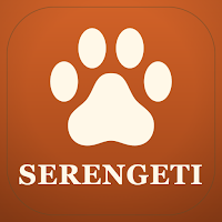 Serengeti Safari: Map & Guide