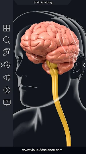 Brain Anatomy Pro. Screenshot 1