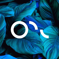 OPC Analysis
