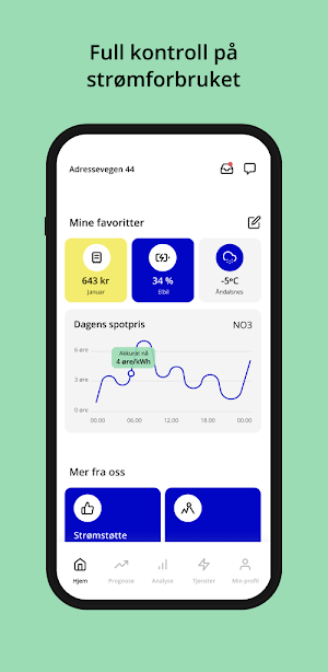Rauma Energi Screenshot 0