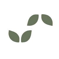 Synergy Eye Care
