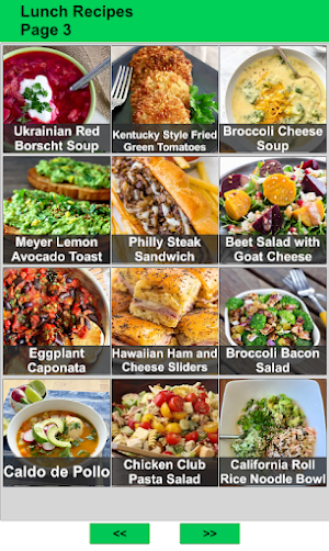 100 Lunch Recipes Idea Screenshot 2