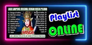 Dangdut Koplo Lagu Lampung Mp3 Screenshot 3