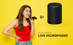 Bluetooth Mic To Speaker Screenshot 0