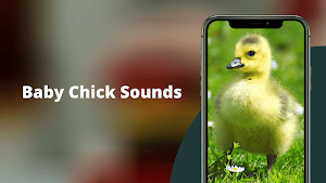 Chicks Sounds - Chirping Noise Screenshot 0