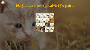 Pair All The Kittens Screenshot 1