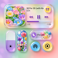 Themes: Color Widgets & Icons