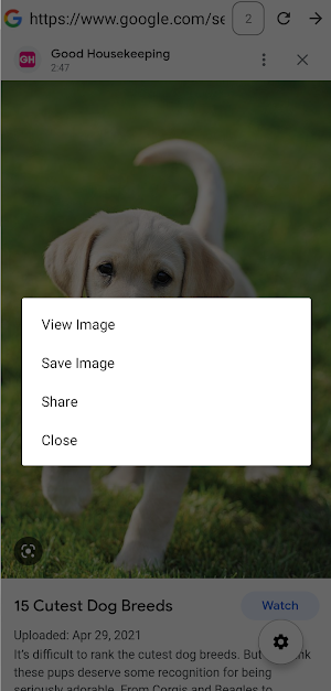 Ghost Incognito Browser Screenshot 0