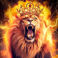 Lion Wallpaper HD