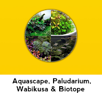 Aquascape Gallery Referace