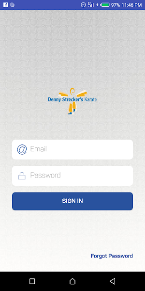 Denny Streckers Karate Screenshot 1