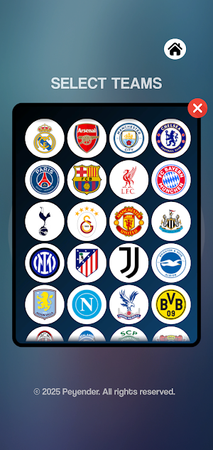 Football Simulator Screenshot 2