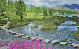 Nature wallpaper Screenshot 1