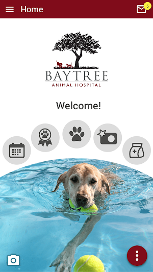 Baytree Animal Hospital Screenshot 0