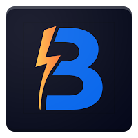 Blitzstock Auctions