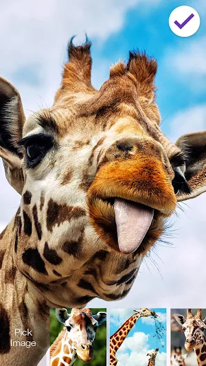 Giraffe Animal HD Lock Screenshot 2