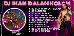 DJ Ikan Dalam Kolam DJ Offline Screenshot 2