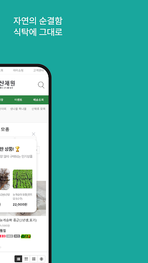 Ulleung Mountain Vegetable Gar Screenshot 1