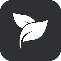 Floro: Study Timer