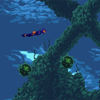 Diver
