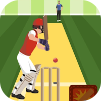 Pro Cricket Champion