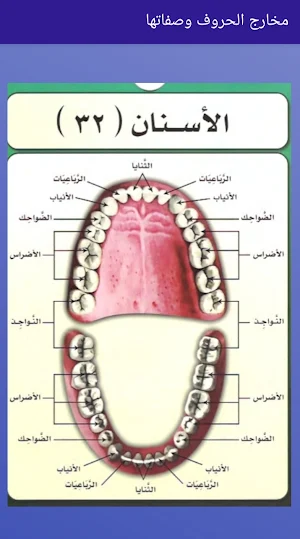 مخارج الحروف و فلسفة التجويد Screenshot 3