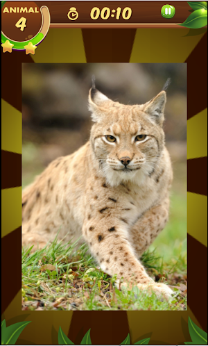 Sliding logic Puzzle: Animals Screenshot 1