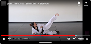 Learn Karate Screenshot 1