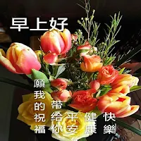 早上好