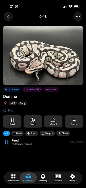 Monty: Ball Python Manager Screenshot 1
