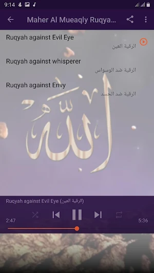 Ruqyah Maher Al Mueaqly MP3 Screenshot 1