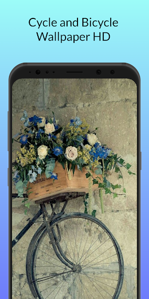 Cycle and Bicycle Wallpaper HD Screenshot 1