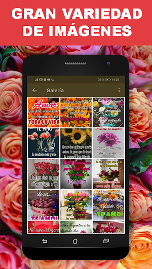 Flores y Rosas de Amor con Frases Románticas Screenshot 0