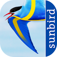All Birds Sweden - A Sunbird Field Guide