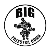 BIG Palestra Roma