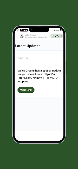 Valley Greens Screenshot 3