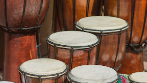Bongo Drum Sounds Screenshot 3