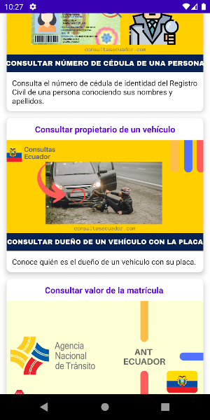 Consultas Ecuador Screenshot 2