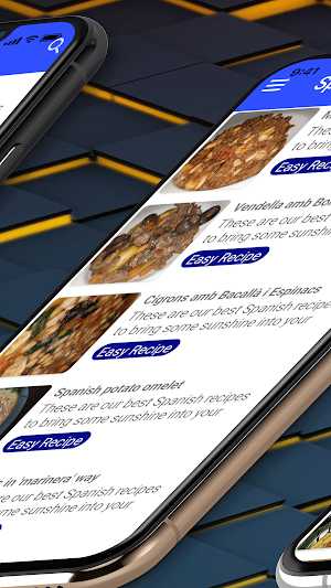 Spanish Food Recipes Screenshot 2