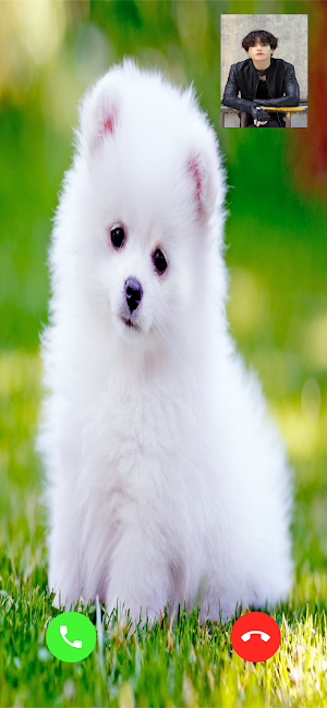 Pomeranian Dog Video Call Simulator Screenshot 0