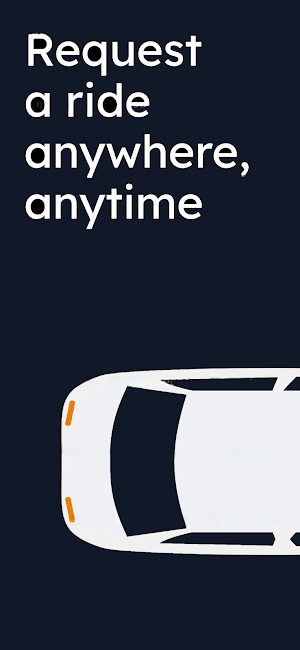Millennium Limousine Screenshot 0