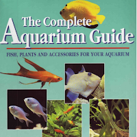 The Complete Aquarium Guide